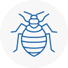 Bed Bug Extermination In Accrington