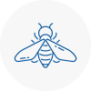Bee Nest Removal Accrington