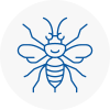 Accrington Hornet Nest Removals