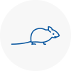 Mice Exterminators In Accrington