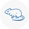Rat Control Accrington