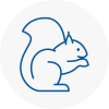 Accrington Rodent Removals